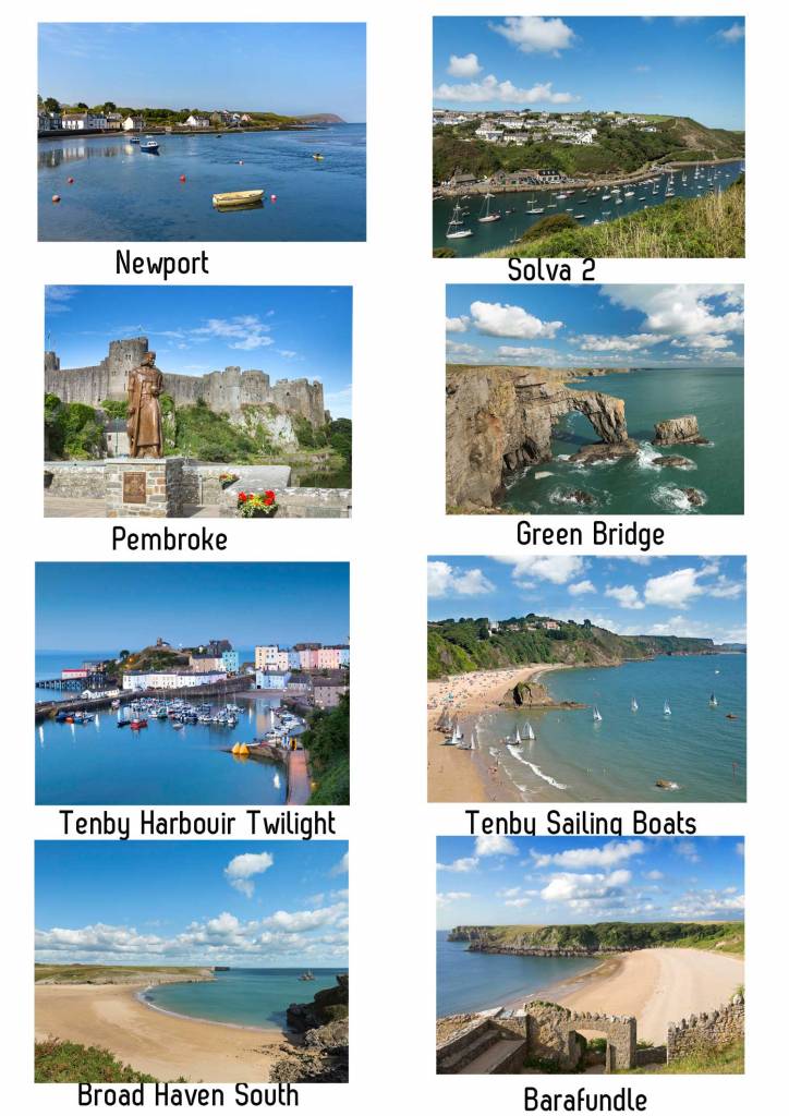 Large Pembrokeshire Placemats with High Gloss Finish 26 x 20cm choose