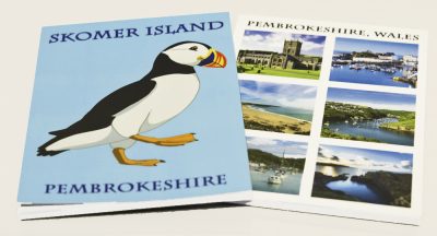 Choice of plain papered pads either with 6 pembrokeshire views or puffin cartoon and words Skomer Island