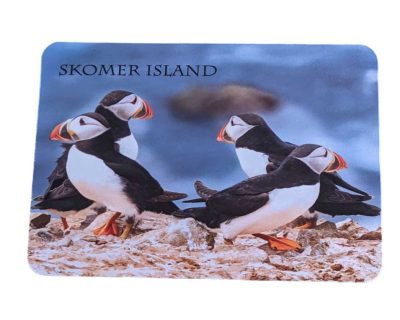 a group of puffins on the cliff with the sea behind on a large mousemat of skomer island puffins
