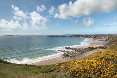 view across marloes sands beach with gorse on the cliff, fluffy white clouds reflecting on a blue sea